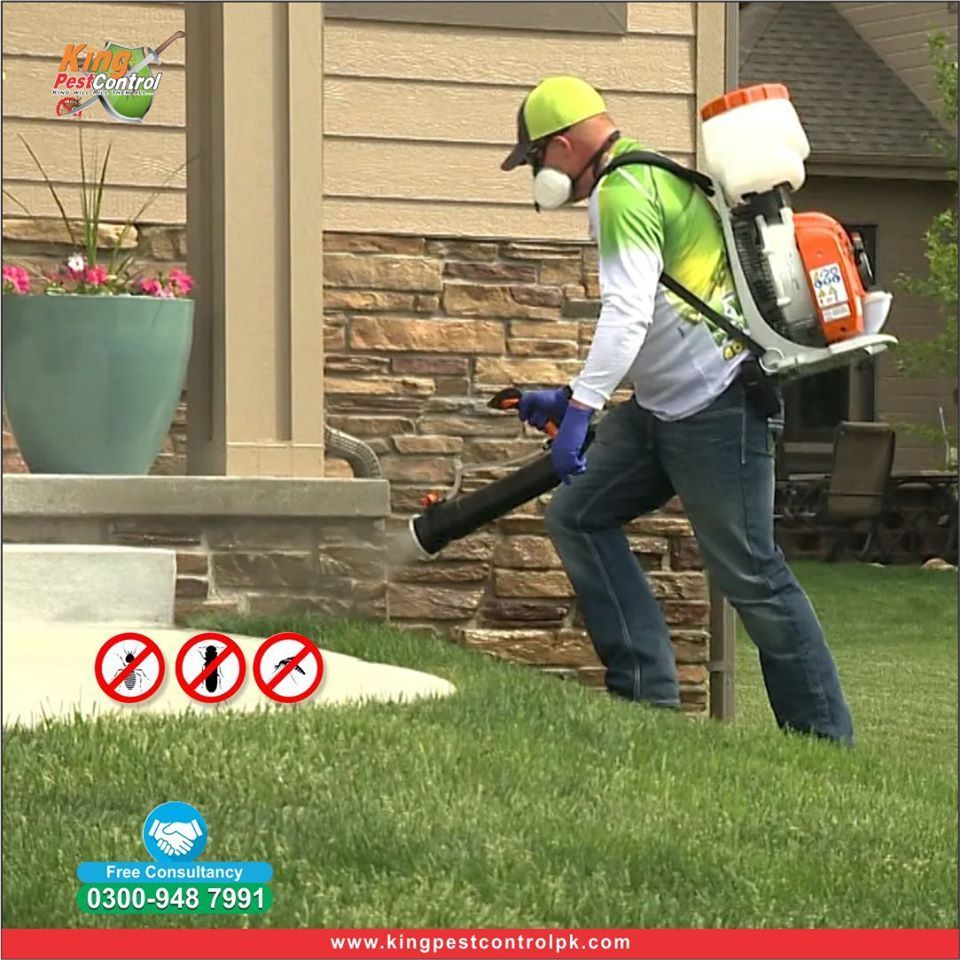 pest control services